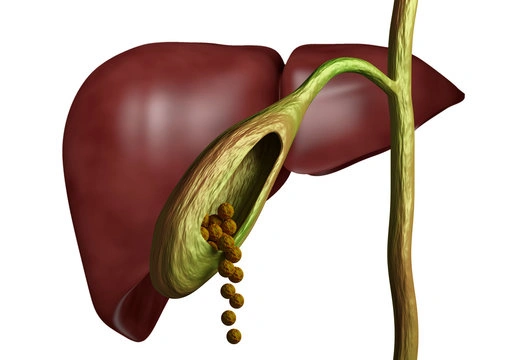 Gall bladder